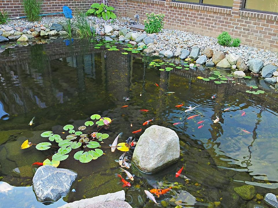 Causeway Bay Hotel Lansing Esterno foto